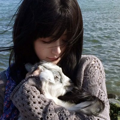 条子阿不拉